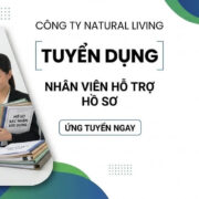 Tuyển nhân viên hỗ trợ hồ sơ xác nhận xây dựng – Công ty Natural Living